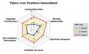 Machteld Huber, Pijlers Positieve Gezondheid